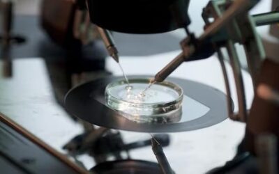 World-first IVF trial reduces risk of babies inheriting diseases