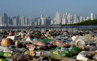 Plastic pollution linked to widespread disease and death, warns Lancet