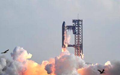 SpaceX answers critics with successful Starship test flight