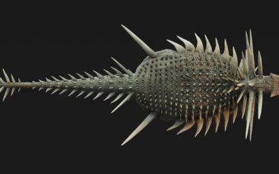 Morocco dinosaur with bizarre armour, metre-long spikes shocks scientists