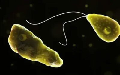 Karachi man becomes 5th Naegleria victim of year in Sindh