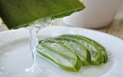 Reasons why you should start drinking aloe vera juice