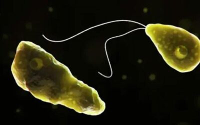 Naegleria claims another life in Karachi, death toll reaches four