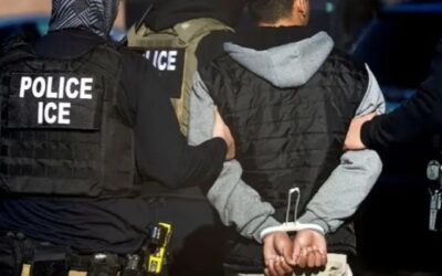 Apple removes US immigration enforcement tracker from app store