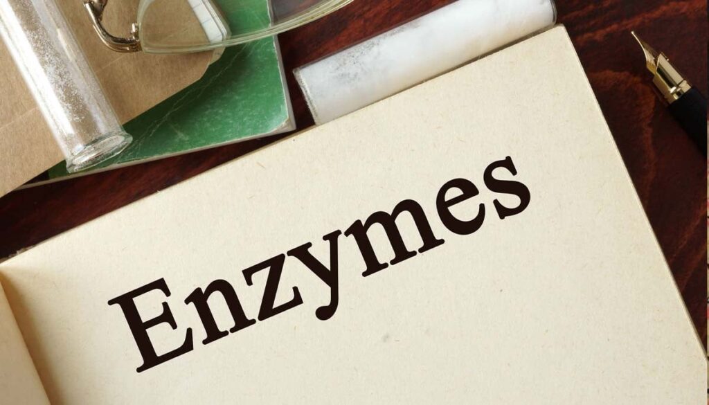 Researchers turn off an enzyme which gave surprising metabolic effects